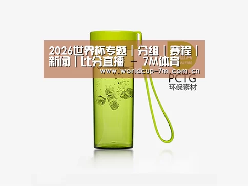 产品展示标题三