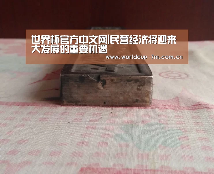 世界杯官方中文网|民营经济将迎来大发展的重要机遇(图1) 世界杯官方中文网