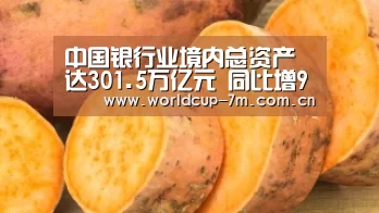 中国银行业境内总资产达301.5万亿元 同比增9.8%_世界杯官方中文网(图1) 世界杯官方中文网