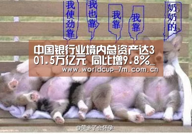 中国银行业境内总资产达301.5万亿元 同比增9.8%_世界杯官方中文网(图3) 世界杯官方中文网