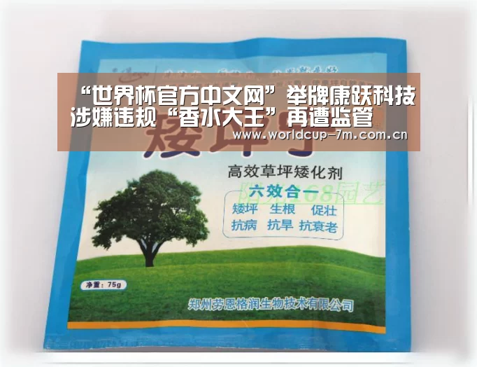 世界杯官方中文网