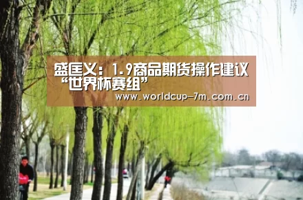 世界杯赛组