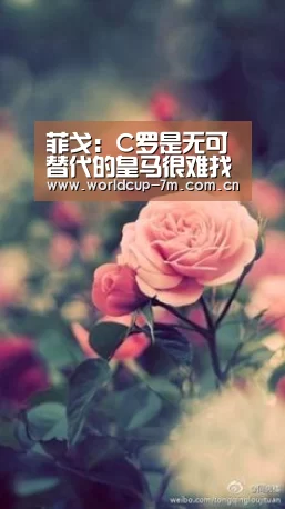 世界杯赛组
