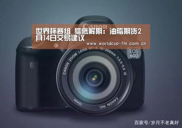 世界杯赛组_猎鹰解期:油脂期货2月14日交易建议(图1) 世界杯官方中文网