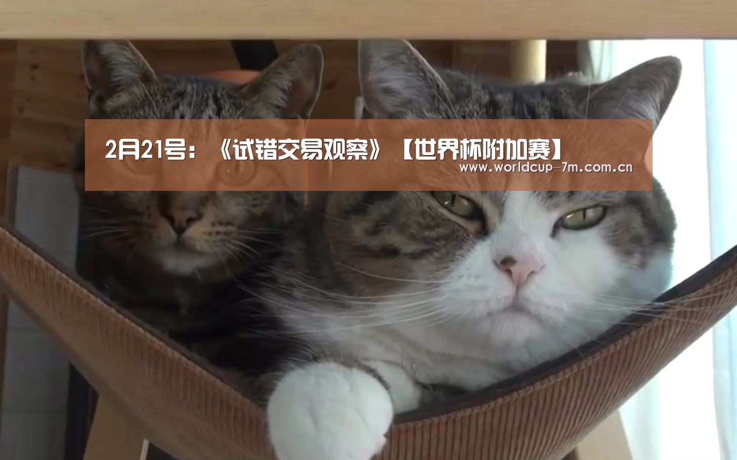 2月21号:《试错交易观察》【世界杯附加赛】(图2) 世界杯赛组