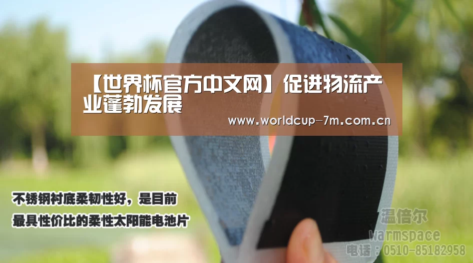 【世界杯官方中文网】促进物流产业蓬勃发展(图1) 世界杯附加赛
