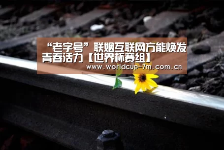 世界杯赛组