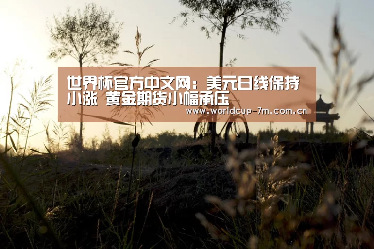 世界杯附加赛