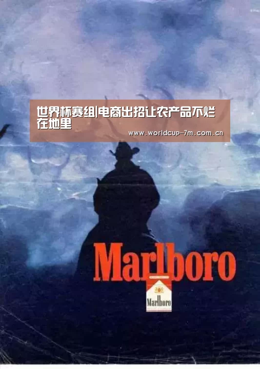 世界杯赛组|电商出招让农产品不烂在地里(图2) 世界杯赛组