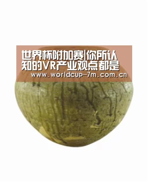 世界杯附加赛|你所认知的VR产业观点都是错误的(图2) 世界杯官方中文网